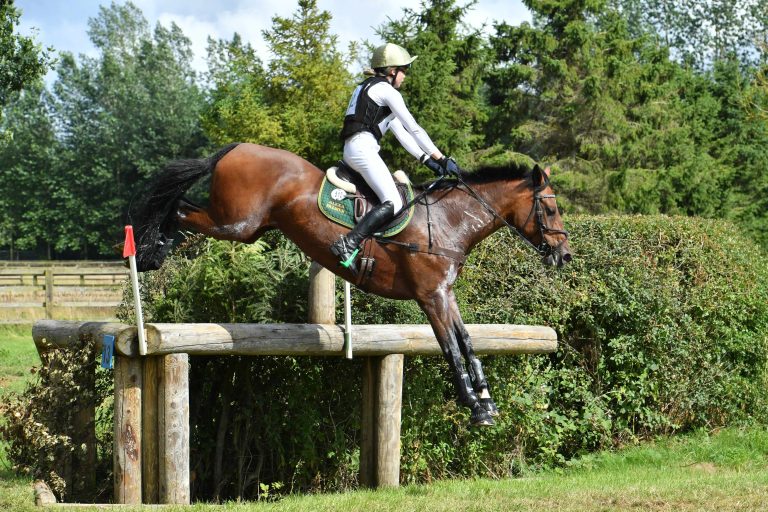 4* Debut & Germany success